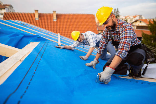 Best Roof Gutter Cleaning  in Forest Park, GA